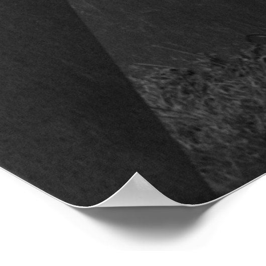 Abstract nr. 1 poster (Hoek)