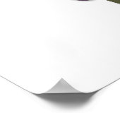 Abstract of poster (Hoek)