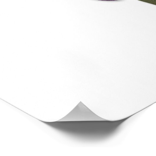 Abstract of poster (Hoek)