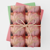 Abstract opgerolde ventilator inpakpapier vel (In situ)