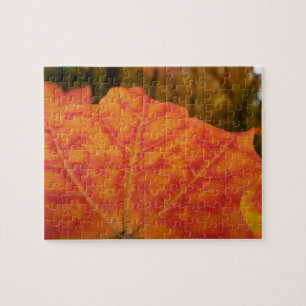 Abstract Oranje en Rode Esdornblad Herfst Natuur Legpuzzel
