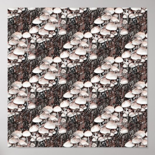 Abstract paddenstoelen Vun Natuur Poster (Voorkant)