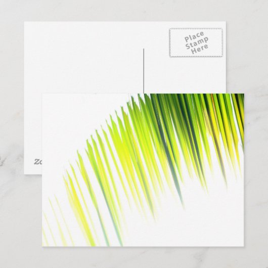 Abstract palm (briefkaart) briefkaart (Voorkant / Achterkant)