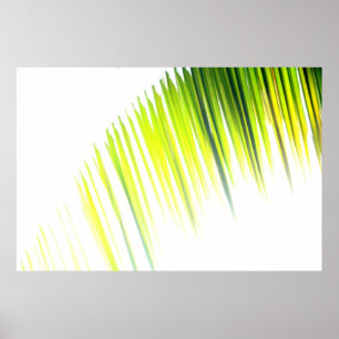 Abstract palm (poster) poster