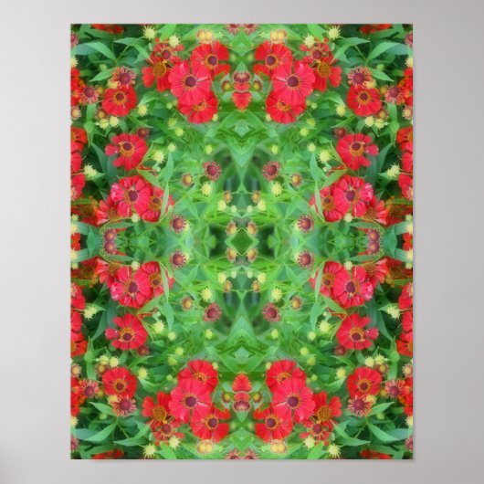 Abstract patroon van rode zinnia Flowers Poster (Voorkant)