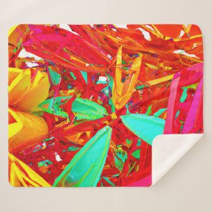 Abstract patroon voor levendige kleuren sherpa deken