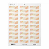 Abstract Peach roze verf zwembad Return-adres Etiket (Full Sheet)