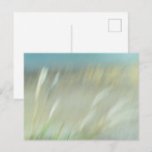 Abstract Photograph Postcard Briefkaart (Voorkant / Achterkant)