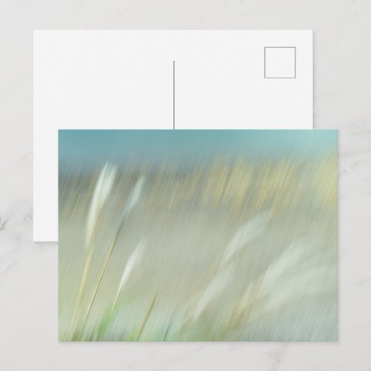Abstract Photograph Postcard Briefkaart (Voorkant / Achterkant)