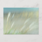 Abstract Photograph Postcard Briefkaart (Voorkant)