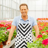 Abstract Polka Schort