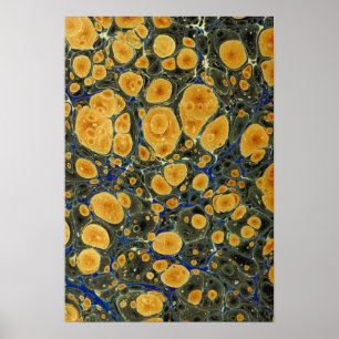 Abstract Poster
