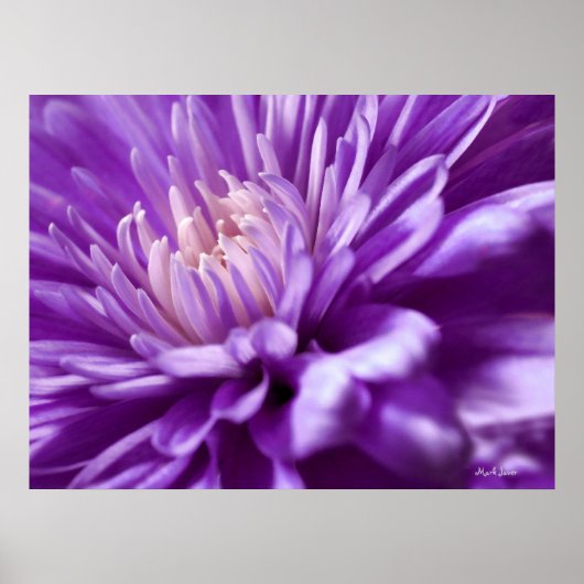 Abstract Poster Paarse ventilator (Voorkant)