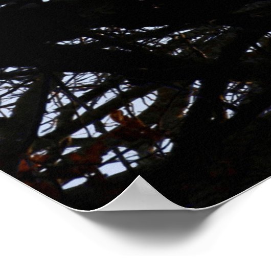 Abstract poster van boomvertakkingen (Hoek)