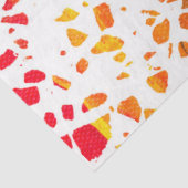 Abstract Rainboogpatroon van Terrazzo Mosaic Tissuepapier (Detail)