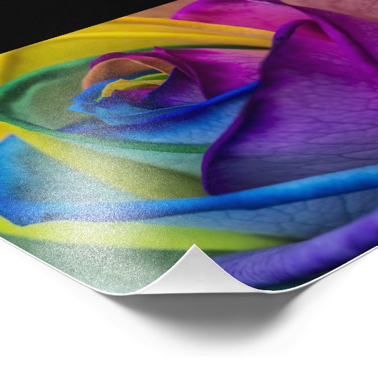Abstract regenboogRoos Foto Afdruk (Hoek)