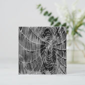 Abstract schilderen van een grijs wit kobweb op zw kaart (Staand voorkant)