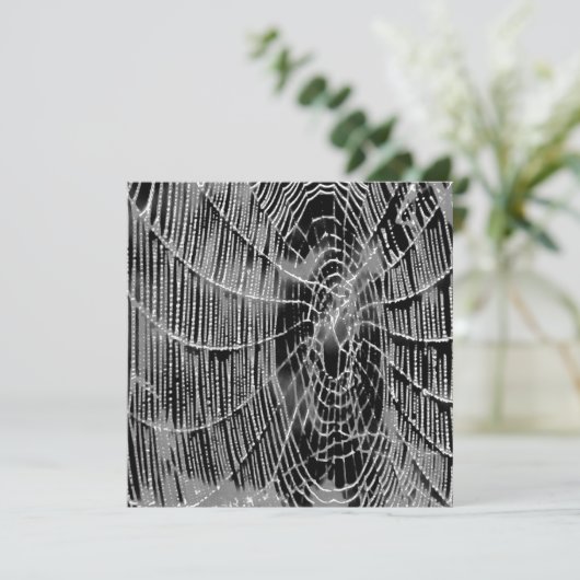 Abstract schilderen van een grijs wit kobweb op zw kaart (Staand voorkant)