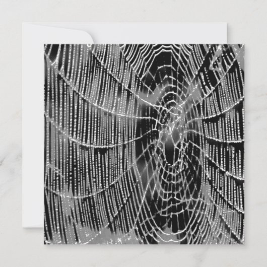 Abstract schilderen van een grijs wit kobweb op zw kaart (Voorkant)