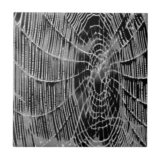 Abstract schilderen van een grijs wit kobweb op zw tegeltje (Voorkant)