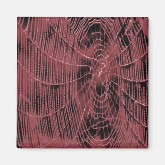 Abstract schilderen van een magenta roze kobweb magneet (Voorkant)