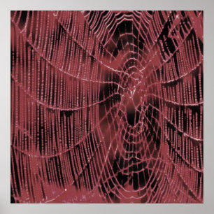 Abstract schilderen van een magenta roze kobweb poster