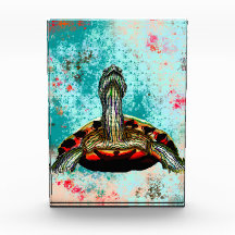 Abstract schildpad
