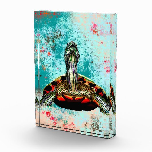 Abstract schildpad fotoblokken (Rechts)