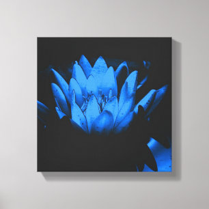 Abstract stromend blauw water Lily Lotus Canvas Afdruk