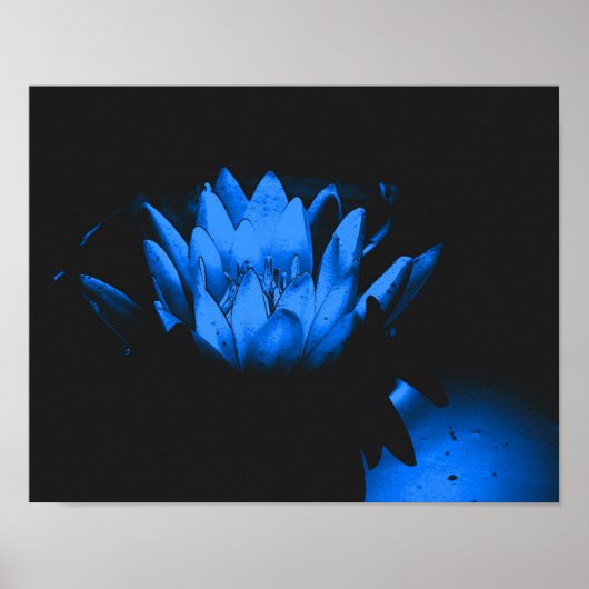Abstract stromend blauw water Lily Lotus Poster (Voorkant)