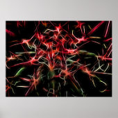 Abstract Succulent Plant Poster (Voorkant)