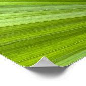 Abstract Tropisch Groen Palmblad Poster (Hoek)
