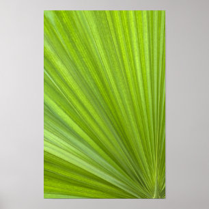 Abstract Tropisch Groen Palmblad Poster