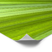 Abstract Tropisch groen palmrond Poster (Hoek)