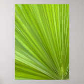 Abstract Tropisch groen palmrond Poster (Voorkant)