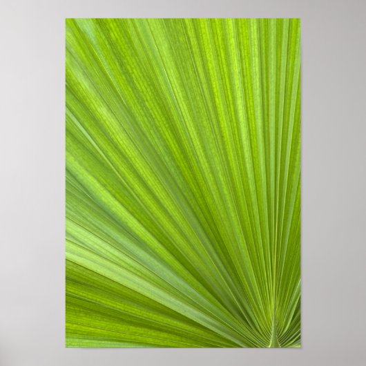 Abstract Tropisch groen palmrond Poster (Voorkant)
