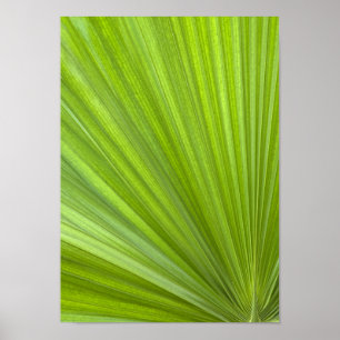 Abstract Tropisch groen palmrond Poster