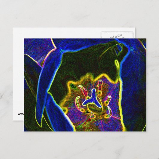 Abstract Tulip briefkaart (Voorkant / Achterkant)