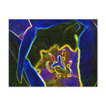 Abstract Tulip briefkaart