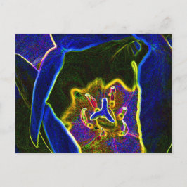 Abstract Tulip briefkaart