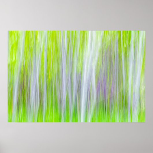 Abstract van Aspen Trees | Yakima River Trail, WA Poster (Voorkant)