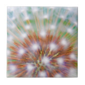 Abstract van de zaadkop van dandelion tegeltje (Voorkant)