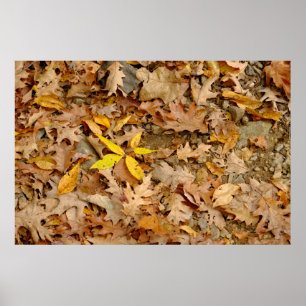 Abstract van droge bladeren, Bannerman Island Poster
