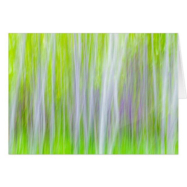 Abstract van Espenbomen | Yakima River Trail, WA (Voorkant Horizontaal)