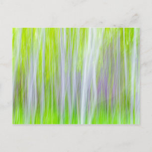 Abstract van Espenbomen   Yakima River Trail, WA Briefkaart