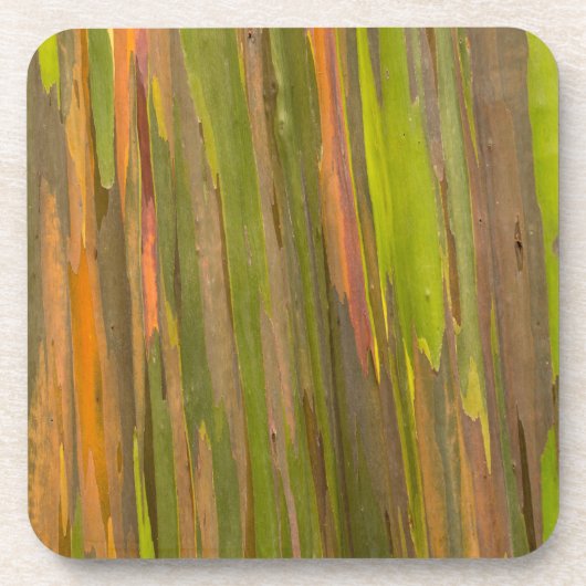 Abstract van Eucalyptusbast Bier Onderzetter (Voorkant)