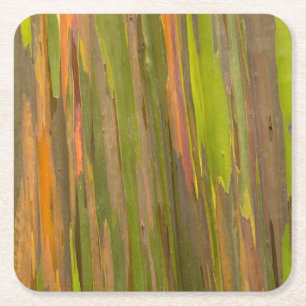 Abstract van eucalyptusbast kartonnen onderzetters