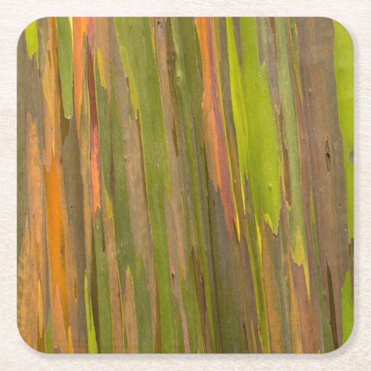 Abstract van eucalyptusbast kartonnen onderzetters (Voorkant)