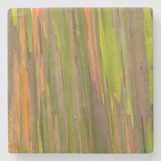 Abstract van eucalyptusbast stenen onderzetter (Voorkant)