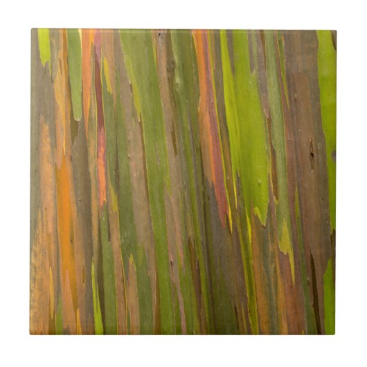 Abstract van eucalyptusbast tegeltje (Voorkant)